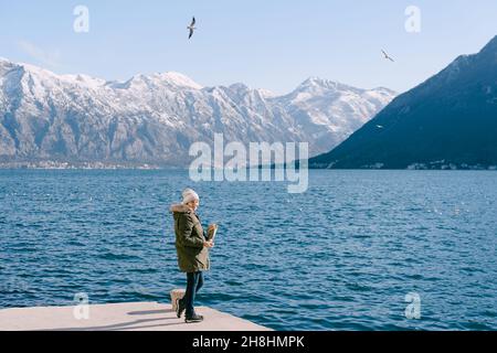 Mädchen in einer Jacke steht auf dem Pier und füttert die Möwen Stockfoto