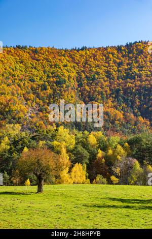 Frankreich, Alpes de Haute Provence, Saint Martin les Seyne; Bienenstöcke in den Bergen Stockfoto