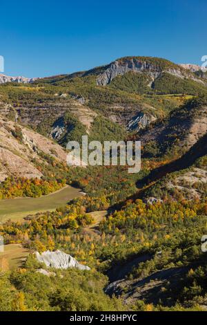 Frankreich, Alpes de Haute Provence, Saint Martin les Seyne; Bienenstöcke in den Bergen Stockfoto