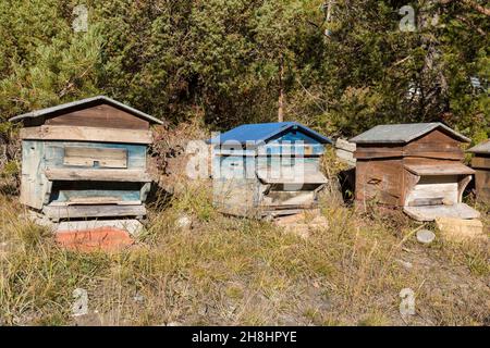 Frankreich, Alpes de Haute Provence, Saint Martin les Seyne; Bienenstöcke in den Bergen Stockfoto