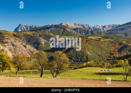 Frankreich, Alpes de Haute Provence, Saint Martin les Seyne; Bienenstöcke in den Bergen Stockfoto