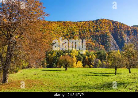 Frankreich, Alpes de Haute Provence, Saint Martin les Seyne; Bienenstöcke in den Bergen Stockfoto