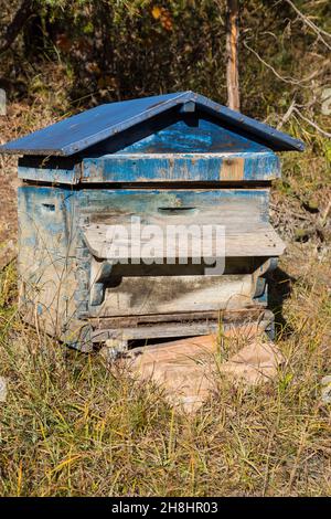 Frankreich, Alpes de Haute Provence, Saint Martin les Seyne; Bienenstock in den Bergen Stockfoto