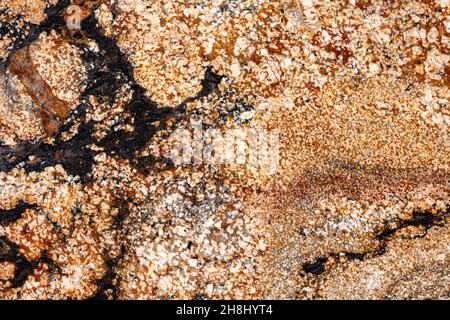 New Sedna - Granit Hintergrund, schöne Textur in idealen Goldton für Ihre individuelle Einrichtung. Stockfoto