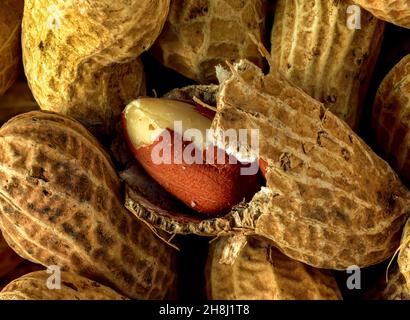 Nahaufnahme des halbabstrakten Essens, das noch Leben der Erdnüsse ist, einige in ihren Muscheln. Muster und Texturen Stockfoto