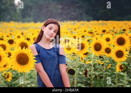 Glückliches Tween Mädchen in einem Sonnenblumenfeld. Stockfoto