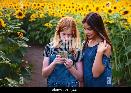 Zwei glückliche Tween Mädchen in einem Sonnenblumenfeld. Stockfoto