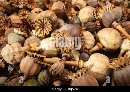 Nahaufnahme des halbabstrakten Essens, das noch Leben der Erdnüsse ist, einige in ihren Muscheln. Muster und Texturen Stockfoto