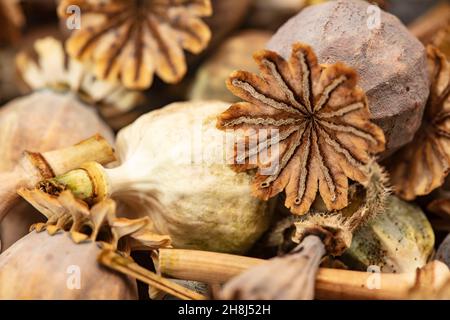 Nahaufnahme des halbabstrakten Essens, das noch Leben der Erdnüsse ist, einige in ihren Muscheln. Muster und Texturen Stockfoto