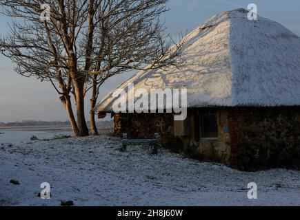 Reetdach einer Hütte im Pagham Harbour Nature Reserve, gesehen bedeckt mit einem Stauben von Schnee im November 2021. Stockfoto