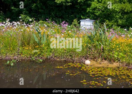 Gower Wildflower & Local Produce Center, Umweltgarten, Gower Peninsula, Glamorgan, South Wales Stockfoto