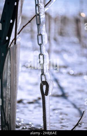 Nahaufnahme einer Stahlkette im Weinberg, bedeckt von gefrorenem Regen bei strahlendem Sonnenschein. Winterlandschaft nach einem eisigen Regen Stockfoto