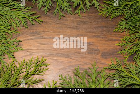 Kreativer Layout-Rahmen, Grußkarte, aus Weihnachtszweigen Stockfoto