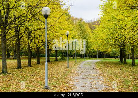 Farbenfrohe Herbstlandschaft im Park mit einer Baumallee, gefallenen Blättern und Laternenpfosten Stockfoto