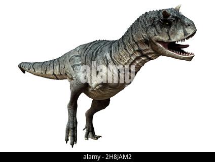 3D Darstellung eines Carnotaurus Sastrei Dinosauriers oder Fleischessens Bull isoliert auf weißem Hintergrund Stockfoto