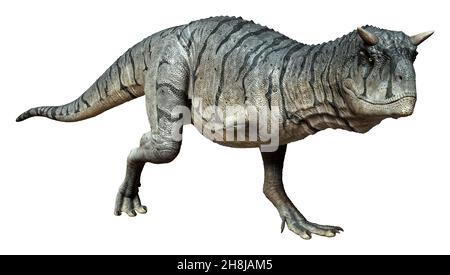 3D Darstellung eines Carnotaurus Sastrei Dinosauriers oder Fleischessens Bull isoliert auf weißem Hintergrund Stockfoto