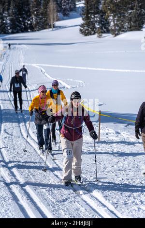 Im Chama Chile Ski Classic im südlichen San Juan-Gebirge rase eine Reihe von Langläufern über eine schneebedeckte Wiese. Stockfoto