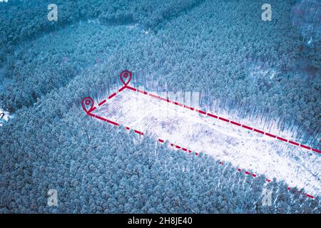 Entwaldung Ökologie Konzept. Leeres Grundstück im Winterwald mit gefällten Bäumen: Luftdrohne-Aufnahme von illegalem Holzeinschlag an einem frostigen Wintertag. Fällen von Bäumen an Land im Wald für den Bau. Stockfoto