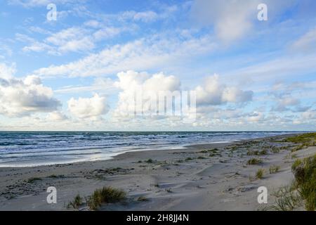 ostseestrand mit Sanddünen und blauem Himmel mit weißen Wolken Stockfoto