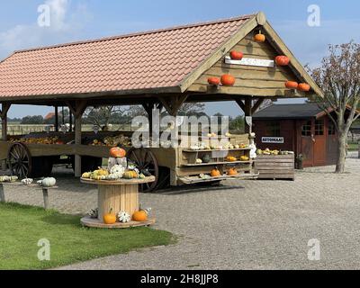 KIRKWERVE, NIEDERLANDE - 12. Sep 2021: Ein rustikaler Straßenmarkt mit Rädern und schützendem Schindeln-Dach, der Kürbisse verkauft Stockfoto