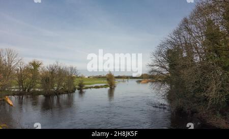 Winterflut auf dem Fluss saugen in Castlestrange, County Roscommon, Irland Stockfoto