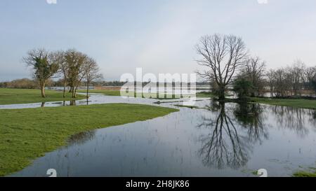 Winterflut auf dem Fluss saugen in Castlestrange, County Roscommon, Irland Stockfoto