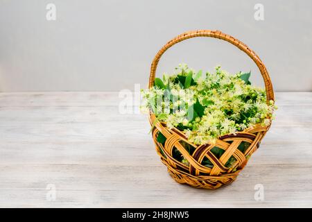 Korbkorb mit Lindenblüten auf einem hölzernen Hintergrund. Lindenblüten. Platz für eine Inschrift. Seitenansicht. Stockfoto