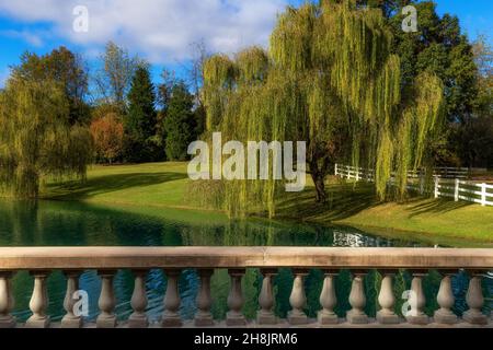 Kingsport, Tennessee, USA - 26. September 2021: Allandale Mansion und Anwesen, erbaut 150 im Besitz von Harvey und Ruth Brooks, die Black Angus Katze großgezogen haben Stockfoto