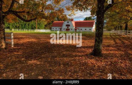 Kingsport, Tennessee, USA - 26. September 2021: Allandale Mansion und Anwesen, erbaut 150 im Besitz von Harvey und Ruth Brooks, die Black Angus Katze großgezogen haben Stockfoto