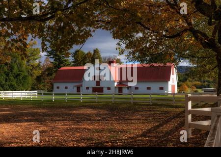 Kingsport, Tennessee, USA - 26. September 2021: Allandale Mansion und Anwesen, erbaut 150 im Besitz von Harvey und Ruth Brooks, die Black Angus Katze großgezogen haben Stockfoto