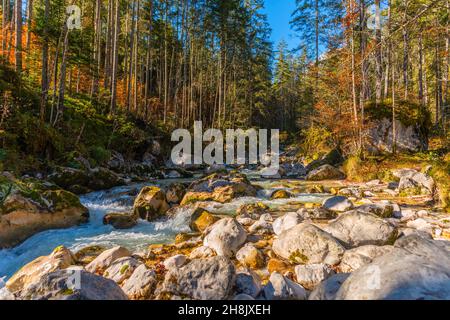 Zauberwald oder Zauberwald mit der Ramsauer Ache bei Hintersee in Herbstfarben, Ramsau, Oberbayern, Süddeutschland Stockfoto