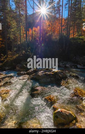 Zauberwald oder Zauberwald mit der Ramsauer Ache bei Hintersee in Herbstfarben, Ramsau, Oberbayern, Süddeutschland Stockfoto