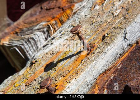 Altes verwittertes Stück Holz mit einem rostigen Nagel Stockfoto