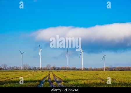 Windturbinen bei Schönerlinde, Brandenburg, Deutschland Stockfoto