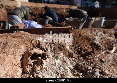 Belchite, Spanien. 30th. November 2021. (ANMERKUNG DER REDAKTION: Bild zeigt den Tod) In einem Massengrab in Belchite Ist Ein Schädel zu sehen.die Exhumierung der Opfer des spanischen Bürgerkrieges wird in zwei Massengräbern auf einem Friedhof in Belchite, Provinz Zaragoza, fortgesetzt. Das Gelände war eines der blutigsten Schlachtfelder mit insgesamt 400 Toten aus Belchite und Umgebung. Kredit: SOPA Images Limited/Alamy Live Nachrichten Stockfoto