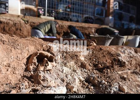 Belchite, Spanien. 30th. November 2021. (ANMERKUNG DER REDAKTION: Bild zeigt den Tod) In einem Massengrab in Belchite Ist Ein Schädel zu sehen.die Exhumierung der Opfer des spanischen Bürgerkrieges wird in zwei Massengräbern auf einem Friedhof in Belchite, Provinz Zaragoza, fortgesetzt. Das Gelände war eines der blutigsten Schlachtfelder mit insgesamt 400 Toten aus Belchite und Umgebung. Kredit: SOPA Images Limited/Alamy Live Nachrichten Stockfoto