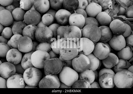 9. November 2021, Medina von Fez, Fes, USA: Kleine Früchte, Gemüse und Fleisch werden auf dem offenen Markt in der blauen Stadt Medina von Fez, Marokko, Afrika, verkauft. (Bild: © Walter G Arce SR Grindstone Medi/ASP über ZUMA Press Wire) Stockfoto