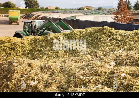 Gewinnung von Silage Stockfoto