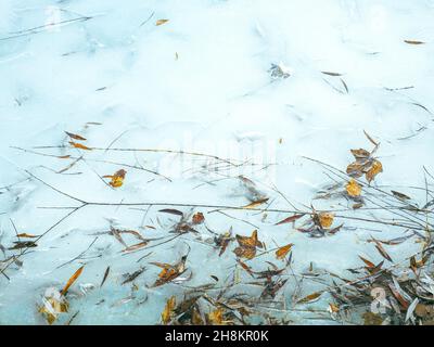 Herbstblätter gefroren im Eis am Fluss im frühen Frühjahr im Sonnenlicht Stockfoto