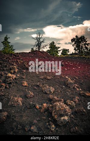 Blick auf rote Felder mit Lava und Bäumen am Horizont, Lavahügel, vulkanische Landschaft an den Kratern des Moon National Monument & Preserve Stockfoto