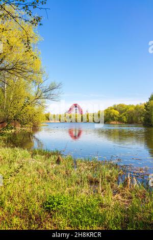 Blick auf die Zhivopisny-Brücke von Serebryany Bor. Grüne russische Natur im Frühling Moskau, Serebryany Bor und Schiwopisny Brücke Stockfoto