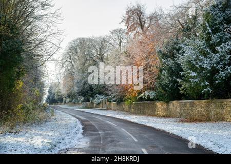 Spätherbst, Frühwinter Bäume im Schnee entlang einer Landstraße, die zum Dorf Wootton in Oxfordshire führt. VEREINIGTES KÖNIGREICH Stockfoto