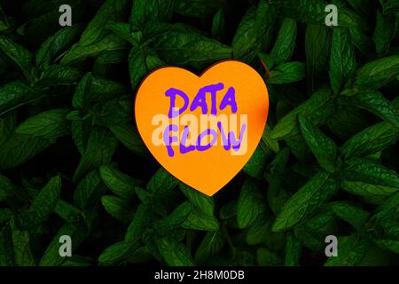 Inspiration mit Zeichen Datenfluss. Geschäftsidee die Bewegung von Daten durch ein System, das aus Software-Papier in Herzform auf der Oberseite von Outdoor besteht Stockfoto