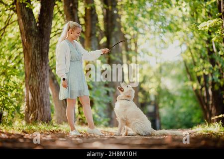 Junge Frau trainiert Hund mit Golden Retriever, um dem Befehl zu folgen, sich hinzusetzen und Stock zu fangen. Stockfoto