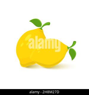 Vektor Zitrone. Frische Zitrone Obst, Sammlung von Vektorgrafiken Stock Vektor