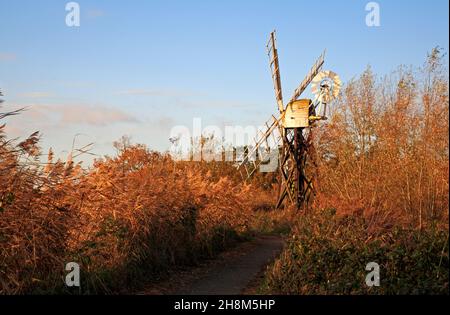 Ein Blick auf Boardmans Drainage Windmill am Fluss Ant auf den Norfolk Broads in How Hill, Ludham, Norfolk, England, Großbritannien. Stockfoto