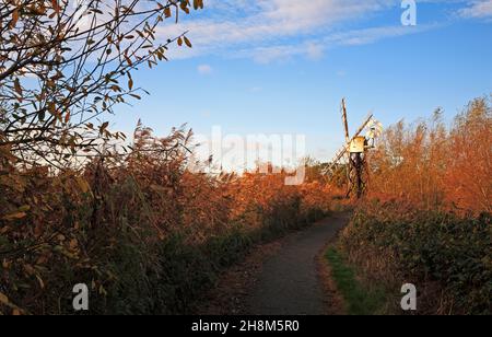 Blick auf einen Wanderweg, der im Herbst zur Boardmans Mill am Fluss Ant auf den Norfolk Broads in How Hill, Ludham, Norfolk, England, Vereinigtes Königreich führt. Stockfoto