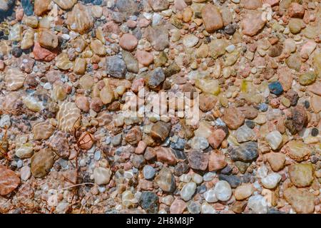 Bunte kleine Kieselsteine am Grund des Sees unter klarem Wasser Stockfoto