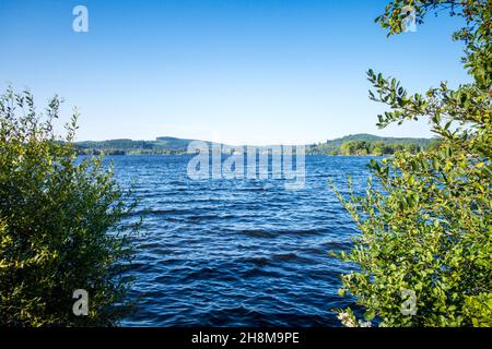 See von Vassiviere Feld und Wald, Limousin, Frankreich Stockfoto