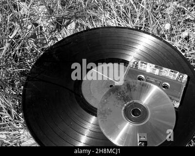 Vinylplatte, CD, Kassette und USB-Flash-Laufwerk lagen auf dem Gras, das von der Zeit vergessen wurde. Sound Evolution Konzept Stockfoto